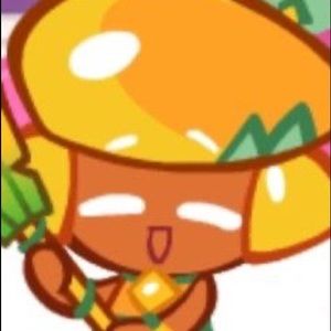 Meet your Posher, Anastasea